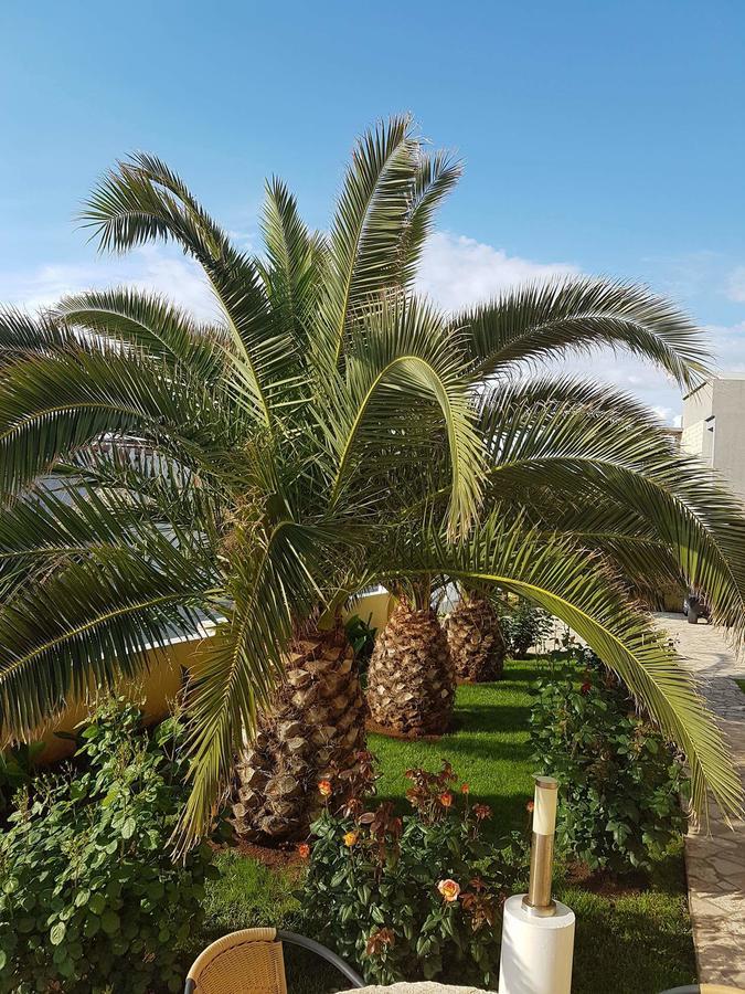 Apartments Vila Ana Вир Екстер'єр фото